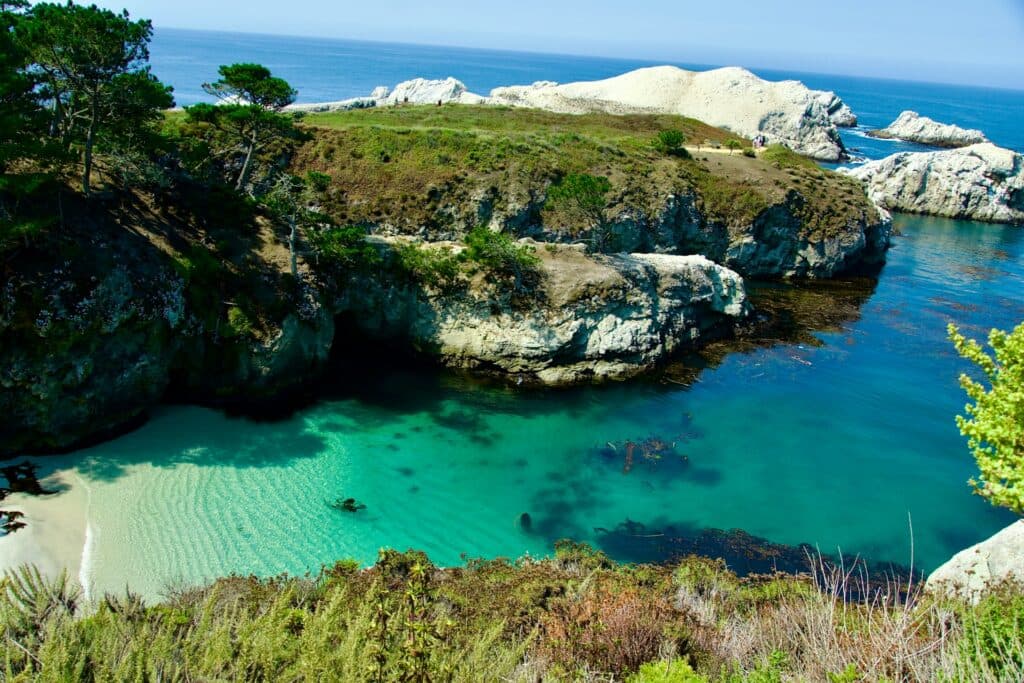 Point Lobos