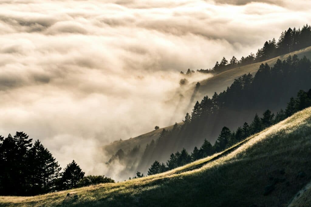 Mount Tamalpais