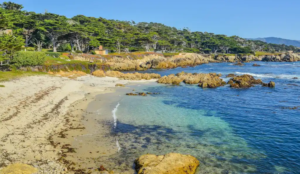 Cypress Point Lookout