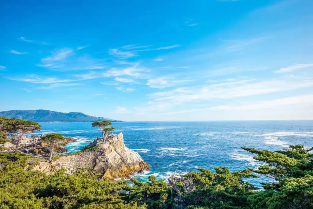 The Lone Cypress