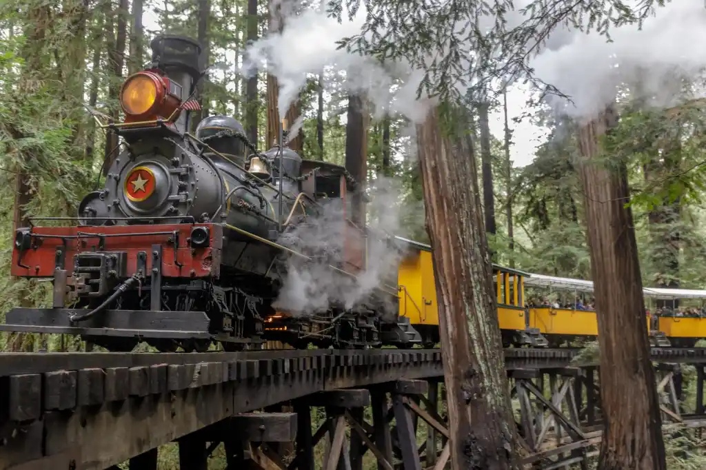 Roaring Camp