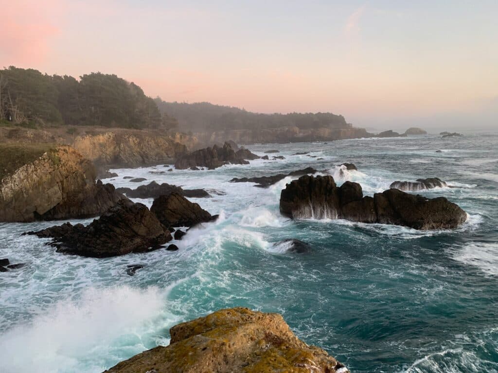 Bodega Bay